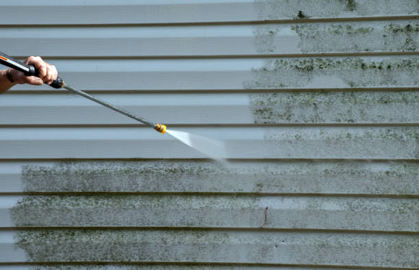 Best Vinyl Siding Pressure Washing in Zellwood, FL